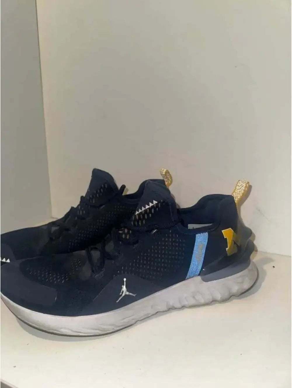 Team Issued Michigan Training Sneakers Size 12